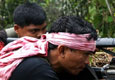 Sipat: a Photo Album