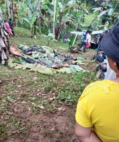 npa-bukidnon-helicopter